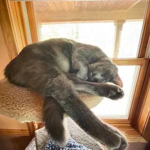 Meet your Posher, Shelly